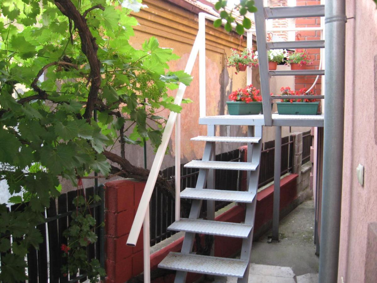 Sweet Apartment Zaječar Exterior foto